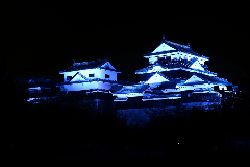 松山城が青色にライトアップされている写真です。
