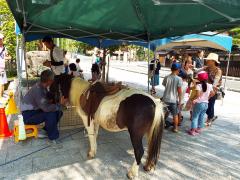 8月1日、2日は子どもに人気の移動動物園も登場