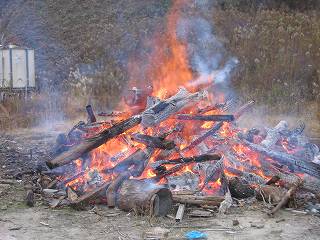 写真：違反例　廃材の野外焼却