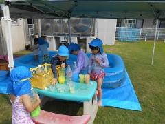 芝生の上でプール遊びや色水遊びをする子どもたちの写真
