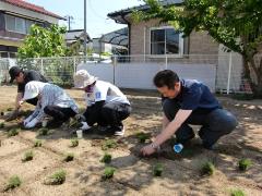 写真：野志市長が一緒に苗植えしている