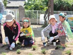 写真：子どもたちが苗植えをしている
