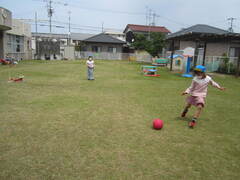 芝生の上でボール遊びをしている子どもたちの写真