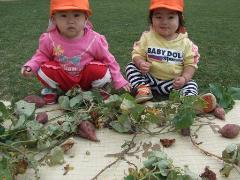 写真：たんぽぽ組の子どもが芝生の上で収穫したさつまいもと一緒