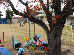 子どもたちが園庭の落ち葉を拾って遊んでいる写真