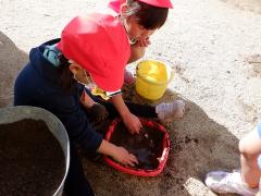 泥団子作りをする幼児の写真