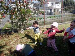 園外保育の公園で遊ぶ幼児の写真