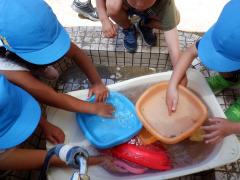 5歳児が砂場道具をきれいに洗っている写真
