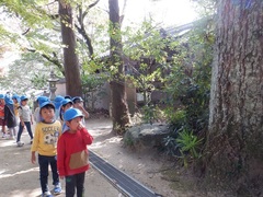 浄瑠璃寺を散策する幼児の写真