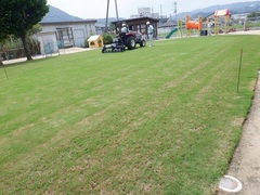 芝生のメンテナンスの写真