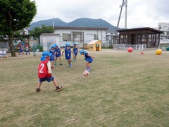 芝生でサッカーをする幼児の写真