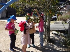 キンモクセイの花を小学生と見る幼児