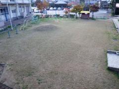 11月27日園庭芝生全体風景