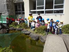 小学校の池