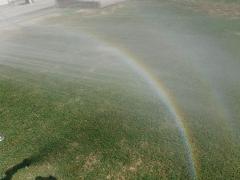 芝生の上の虹
