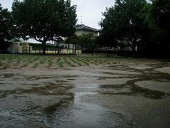 台風4号が近付いている芝生