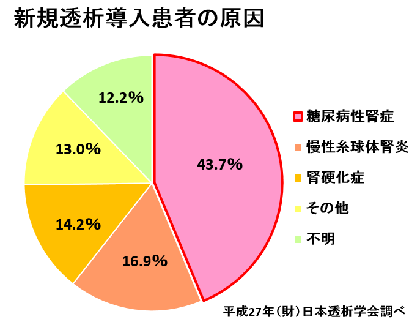 透析原因　円グラフ