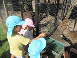 鹿と触れ合っている写真