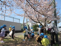 桜の花びらを集める子どもたちの写真