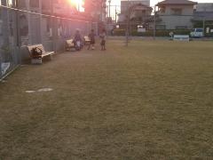 写真：夕日を背にサッカーを楽しむ子供たちの様子