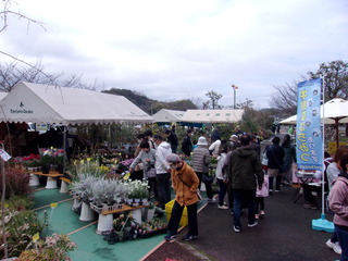 前回の松山植木まつりの販売の様子