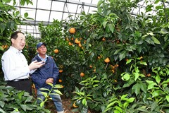 生産者の説明を聞く市長