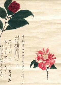 子規画　草花図