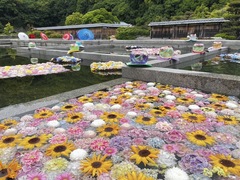 昨年の様子（花手水）