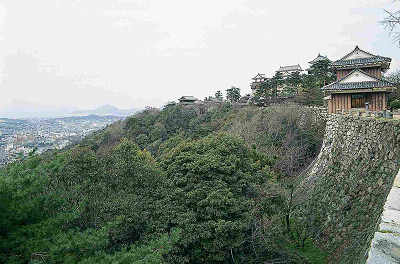 松山城山樹叢