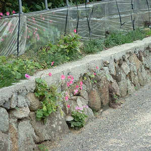 忽那嶋代官屋敷跡