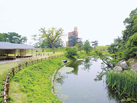 道後公園>