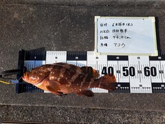 6月の入賞