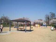 写真:総合公園