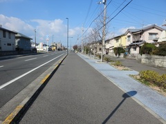 雨がしみこむ道路