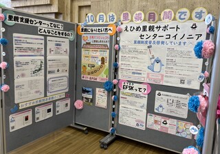 今年度の様子