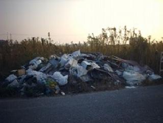写真：道路脇に不法投棄された廃棄物