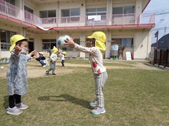 芝生の上でボール遊びをしている写真