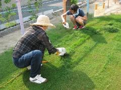 手動芝刈り機で周囲の芝を刈っているところ