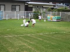 芝生で虫取りをしている子どもたちの写真