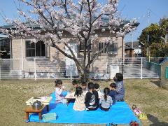 桜の下でおやつを食べている写真