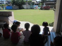 芝生のメンテナンス作業を見る子どもたち
