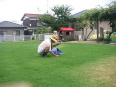 小雨の中で芝の草引きをしてくださっている所