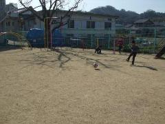 写真：芝生でサッカーをしている