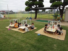 芝生の上で給食を食べる子どもたち