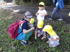 散歩に出かけ、どんぐり拾いをする子どもたちの様子