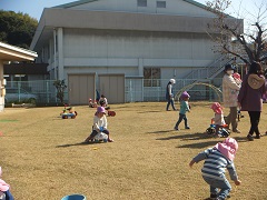 芝生の上で元気に遊んでいる写真