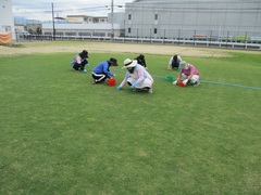 芝生の草引きをしている写真