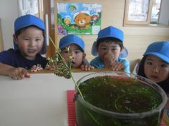 飛び立つチョウチョを見守る様子