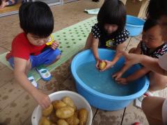 3歳児がジャガイモを洗っている様子