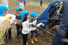 幼児の様子